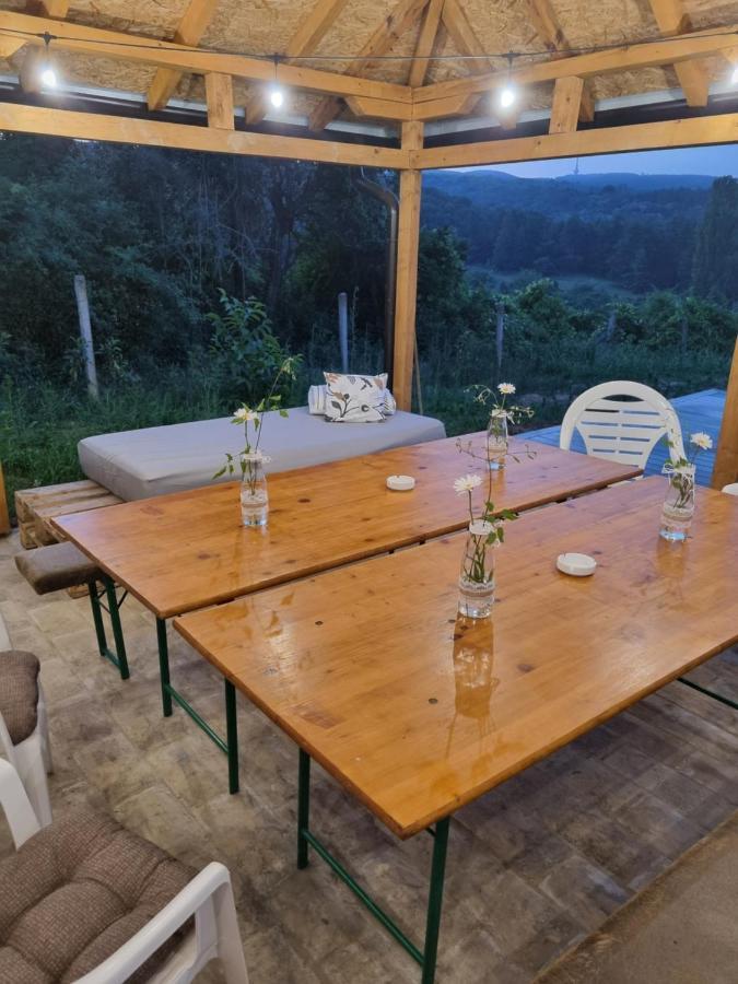 Hoopovo House Fruska Gora Villa Irig Dış mekan fotoğraf