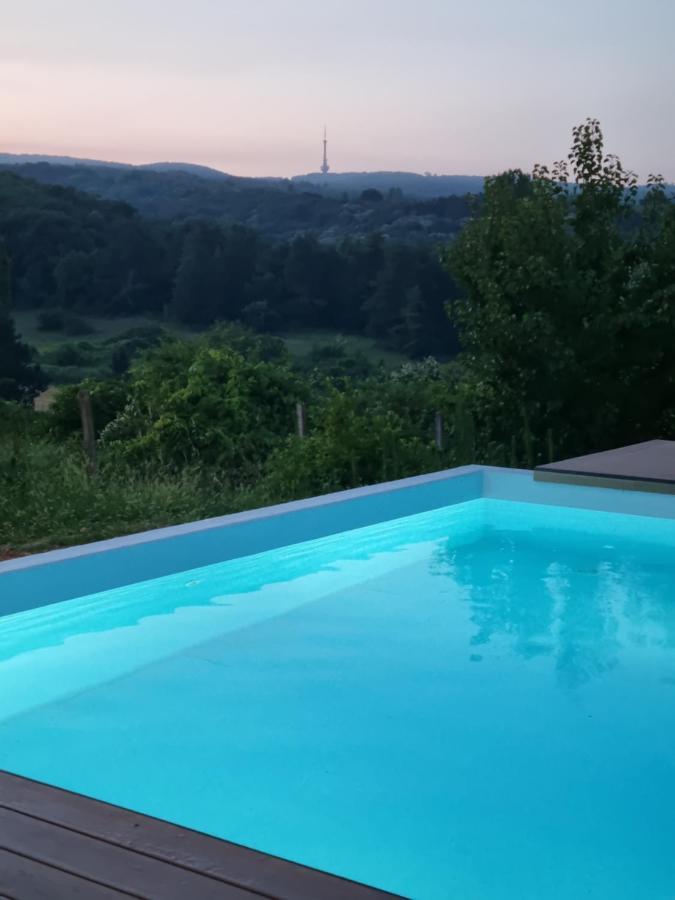 Hoopovo House Fruska Gora Villa Irig Dış mekan fotoğraf