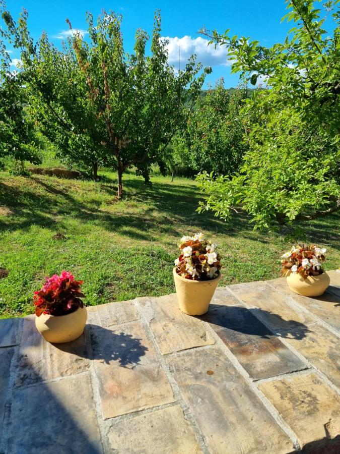 Hoopovo House Fruska Gora Villa Irig Dış mekan fotoğraf