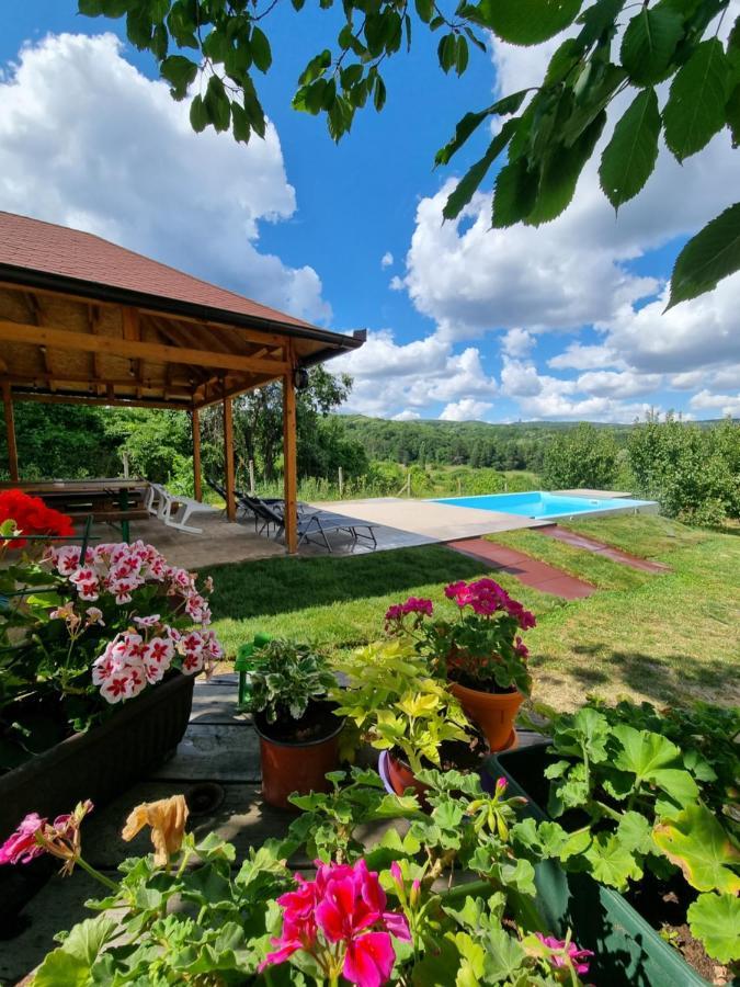 Hoopovo House Fruska Gora Villa Irig Dış mekan fotoğraf